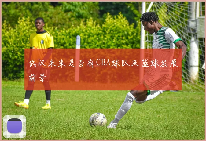 武汉未来是否有CBA球队及篮球发展前景