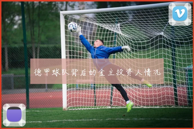 德甲球队背后的金主投资人情况