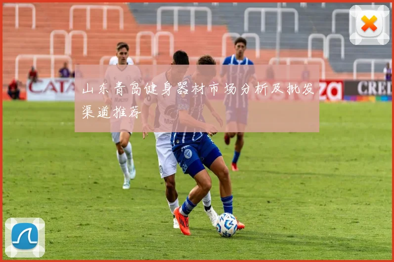 山东青岛健身器材市场分析及批发渠道推荐