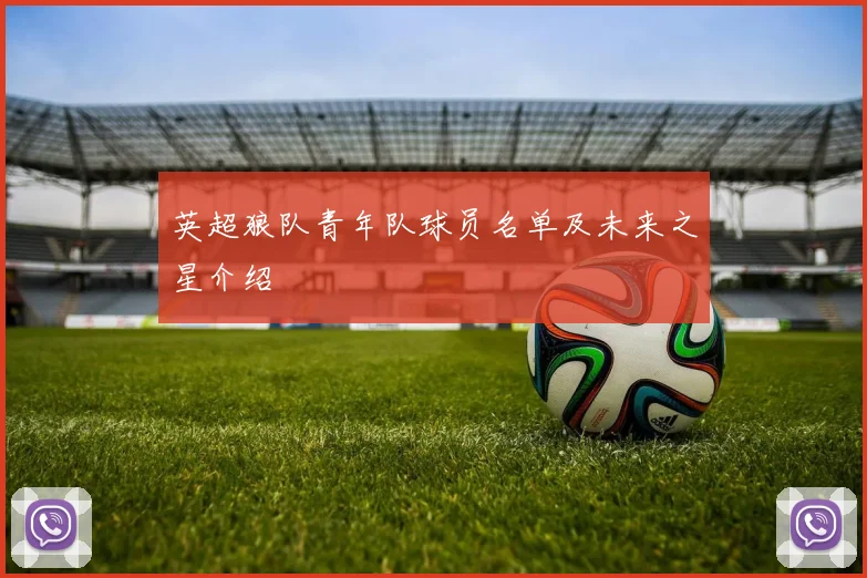 英超狼队青年队球员名单及未来之星介绍