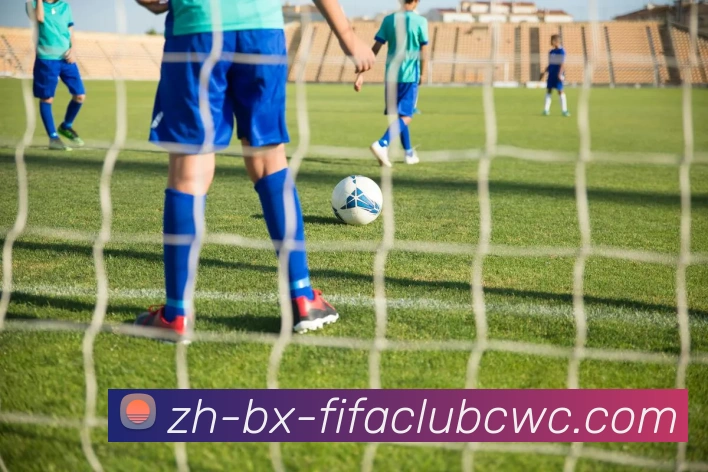 世界杯平台平台生态图